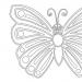 Мастер-класс «Объёмная бабочка» из цветной бумаги
